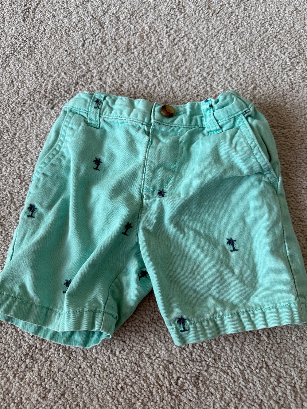 The Children's Place Mint Green Palm Embroidered Shorts